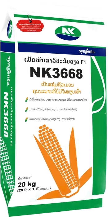 NK3668 20kg