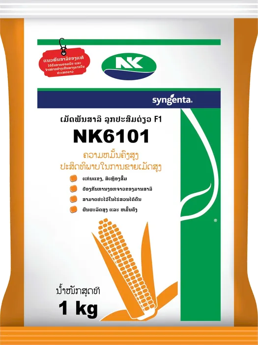NK6101 1kg
