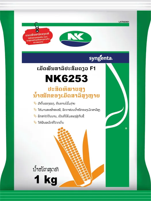 NK6253 1kg