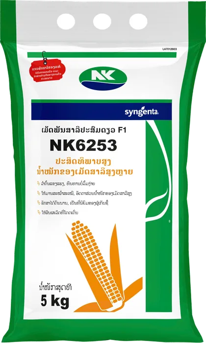 NK6253 5kg